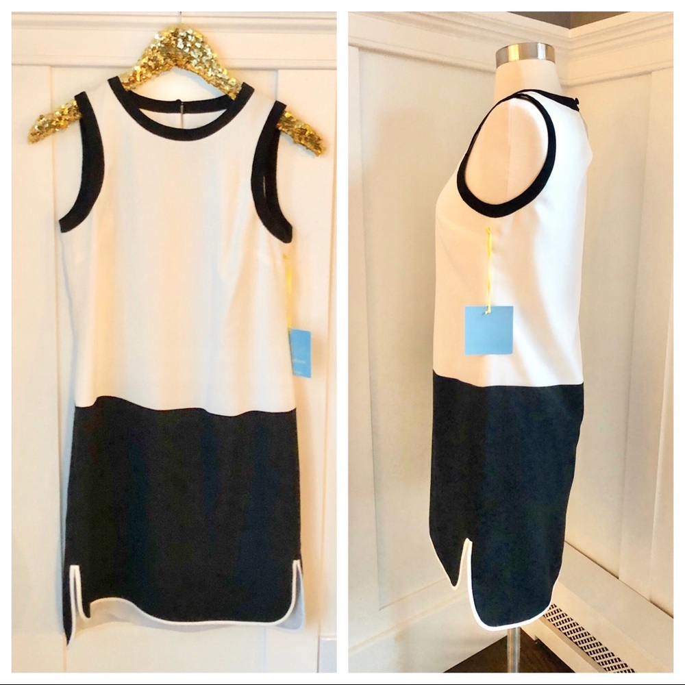 Cece Cynthia Steffe Color Block Sheath Dress